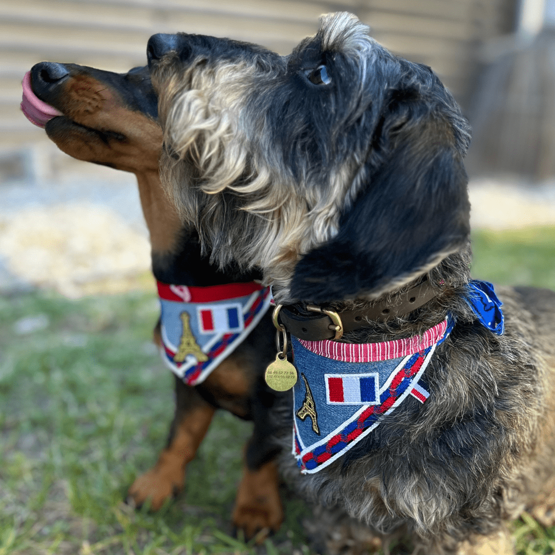 Bandanas Tous Sportifs Collection Sports d ete