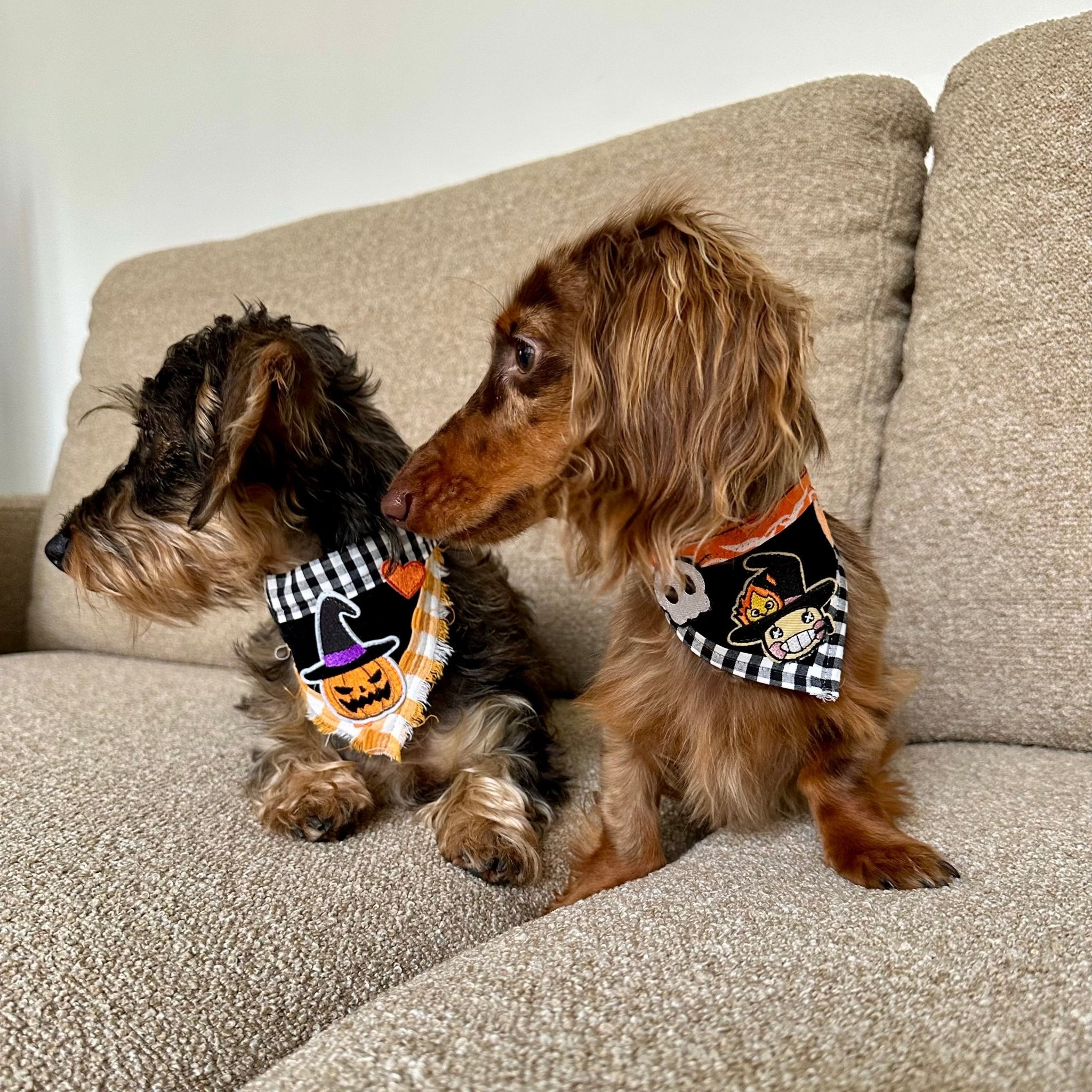 Bandanas - Collection Halloween - Sausage Paris