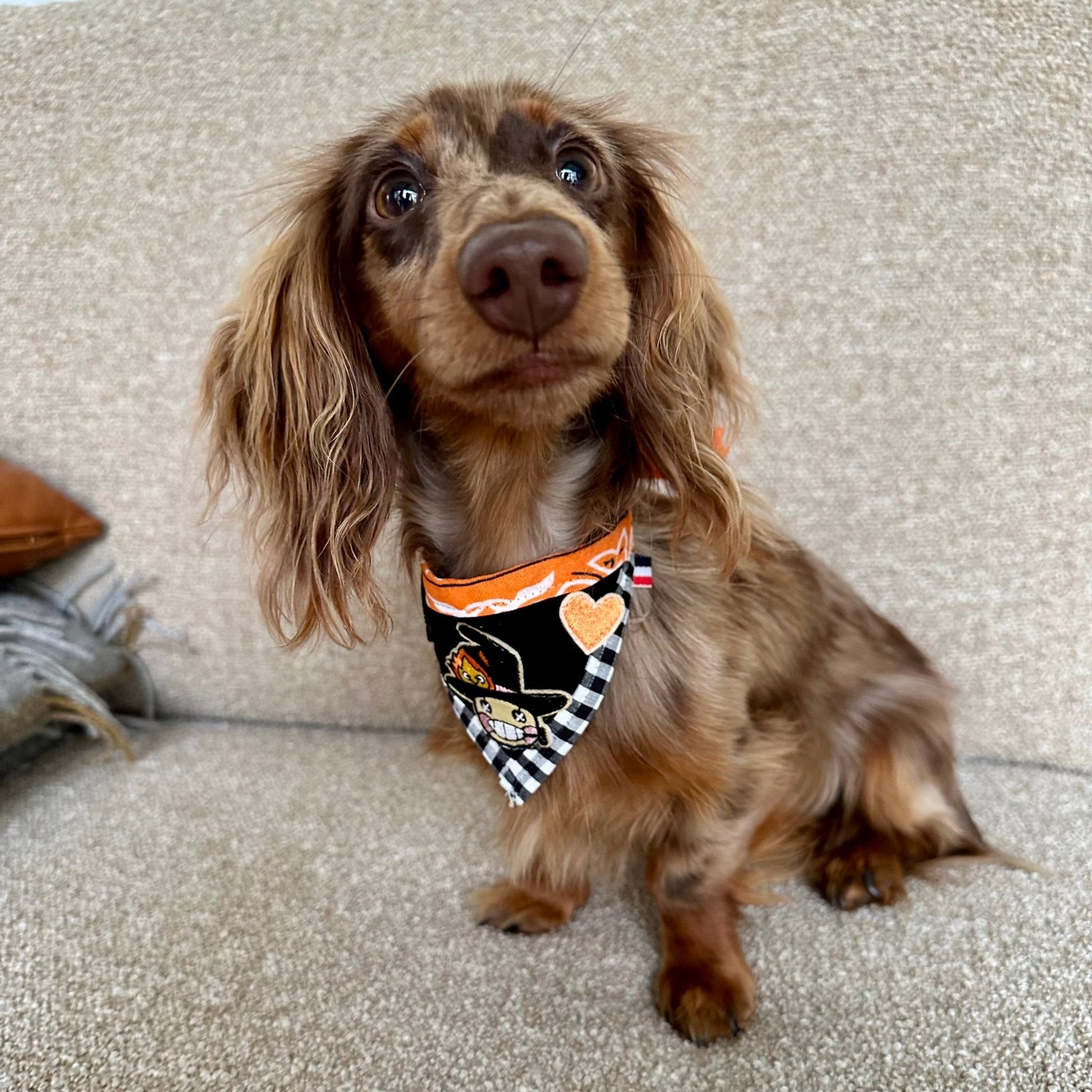 Bandanas - Collection Halloween - Sausage Paris