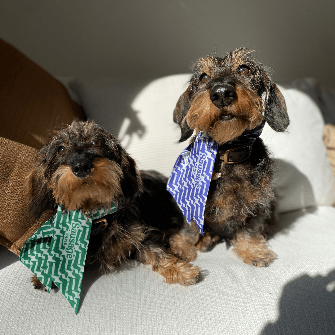 Twilly soie "Marcel" - Sausage Paris