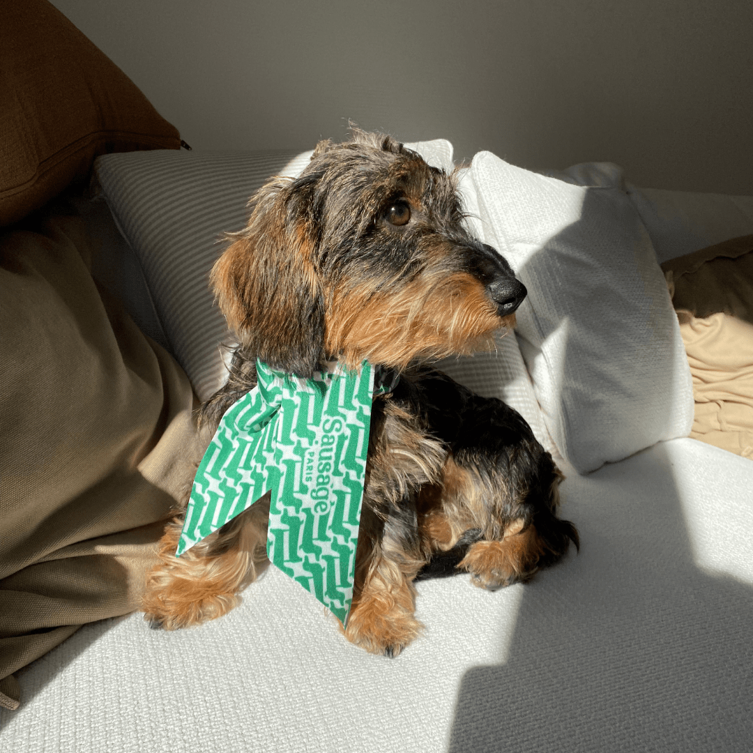 Twilly soie "Marcel" - Sausage Paris