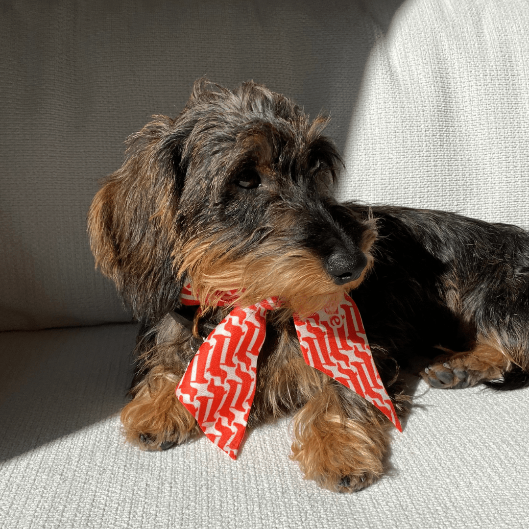 Twilly soie "Marcel" - Sausage Paris