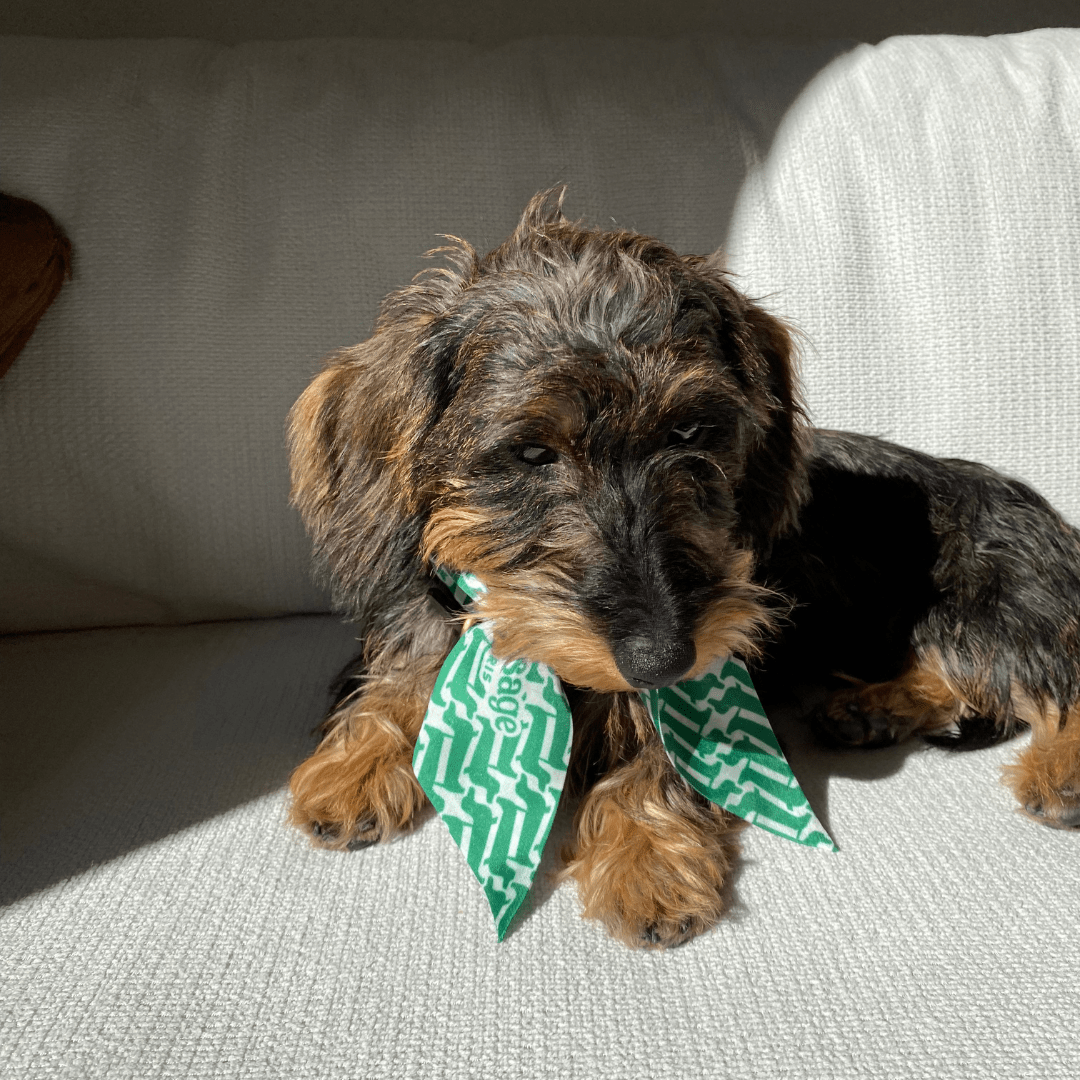 Twilly soie "Marcel" - Sausage Paris