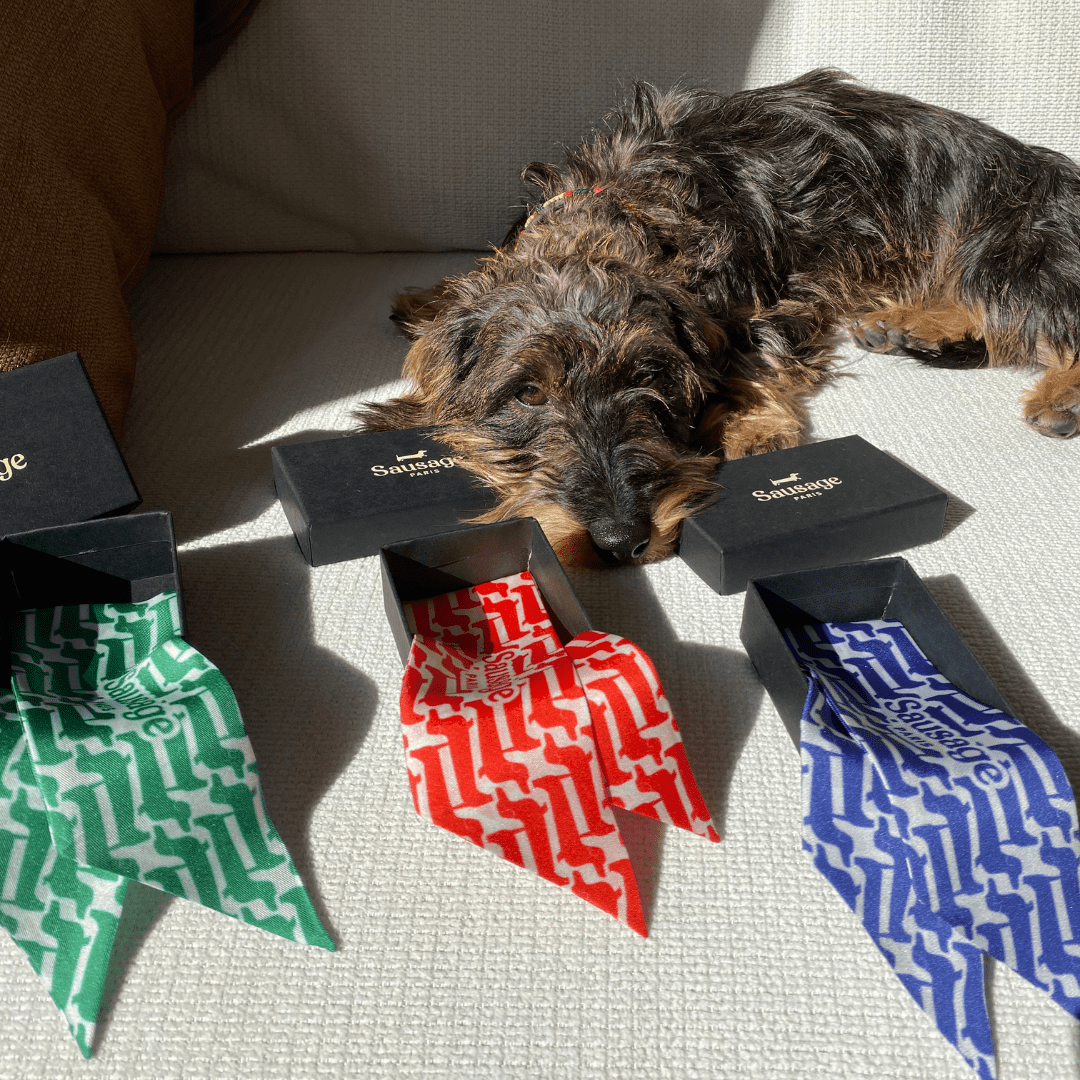 Twilly soie "Marcel" - Sausage Paris