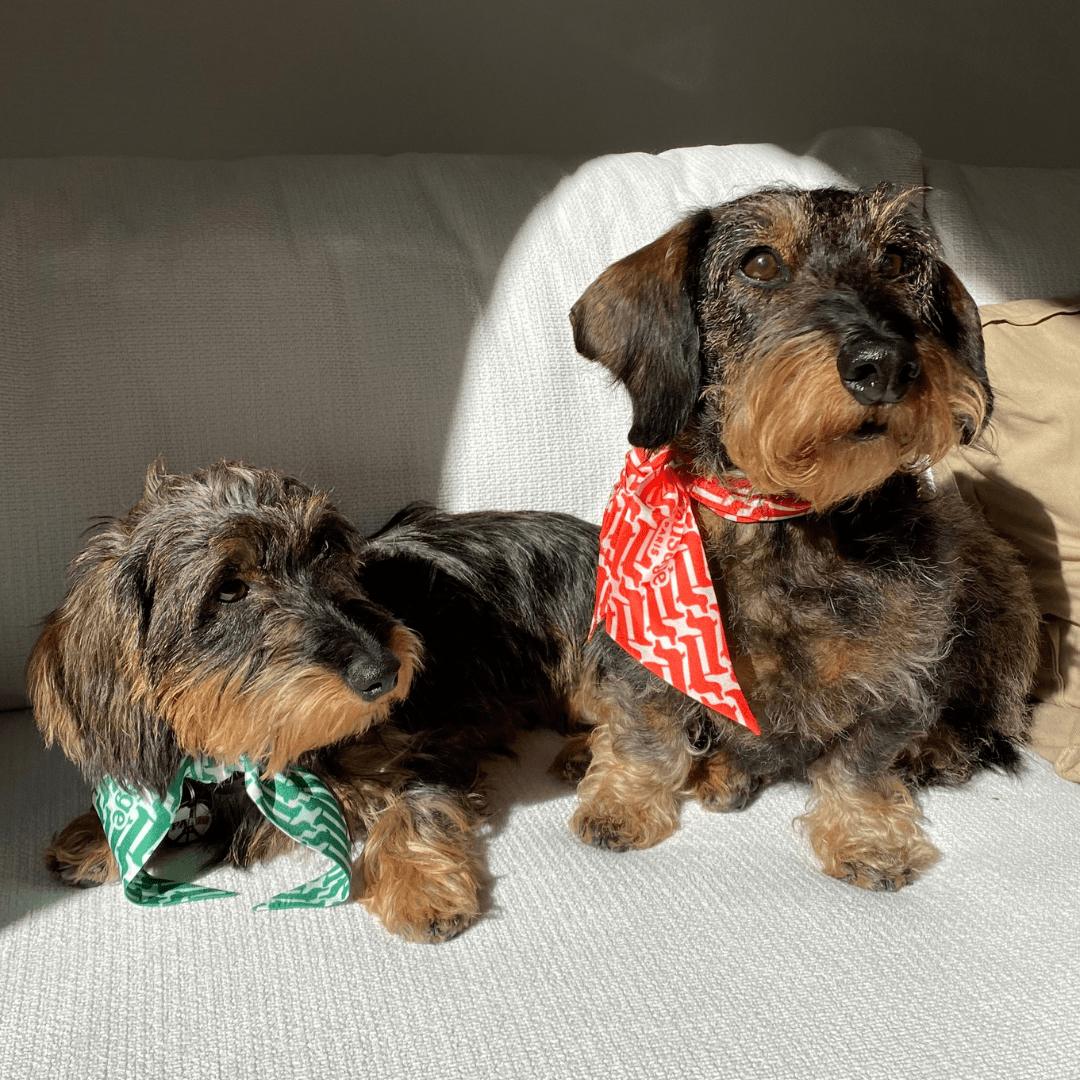 Twilly soie "Marcel" - Sausage Paris